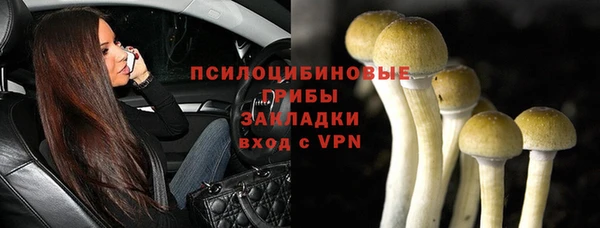 эйфоретик Белоозёрский