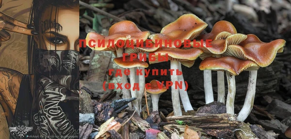эйфоретик Беломорск