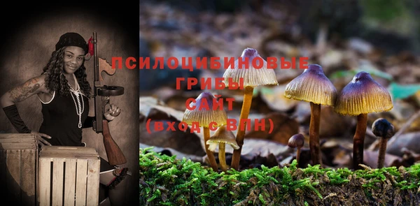 эйфоретик Беломорск